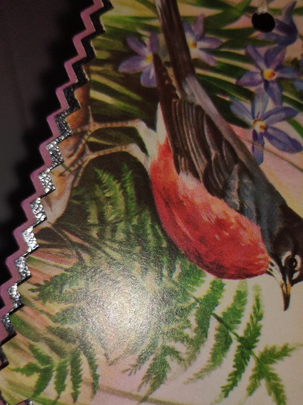 Vintage Floral & Bird Decorative Note Cards and Bookmarks Set